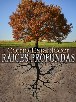 raicesprofundas_cuadro
